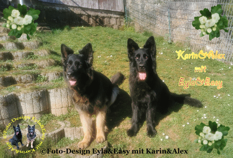 An den Beitrag angehängtes Bild: https://i.postimg.cc/Jz7MTkPX/Gr-e-im-Mai-GB.gif