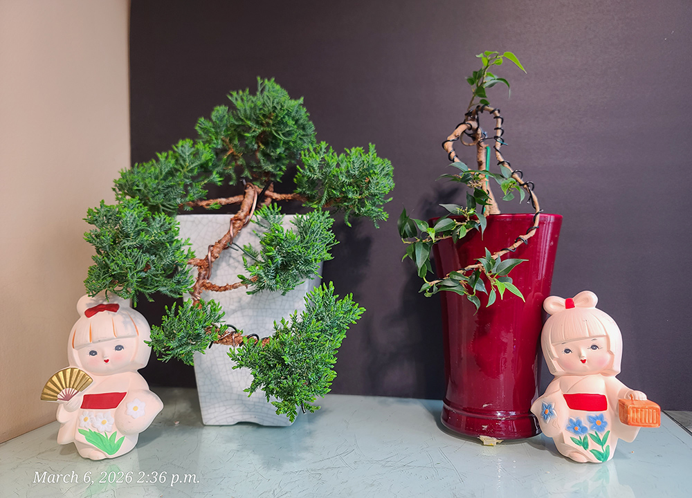 [Image: 20260306-143615.jpg]