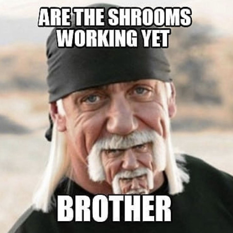 Hulk-Shroom-Meme.jpg