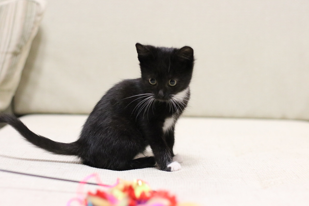 940D042F-B3A5-4BF1-8875-49002151A786