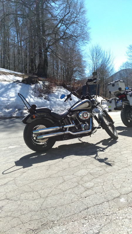 P_20190323_130251_vHDR_Auto