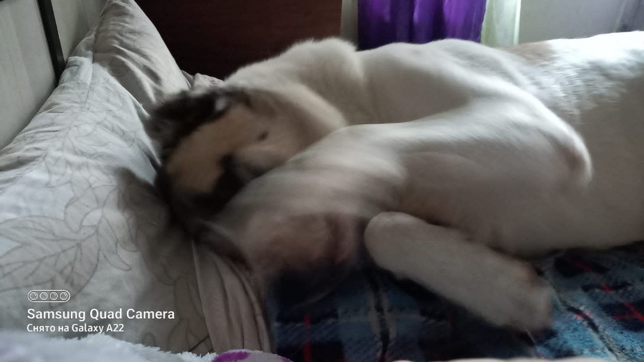 C2EC4E01-7228-4ED0-BCF7-AE638EBF39AF