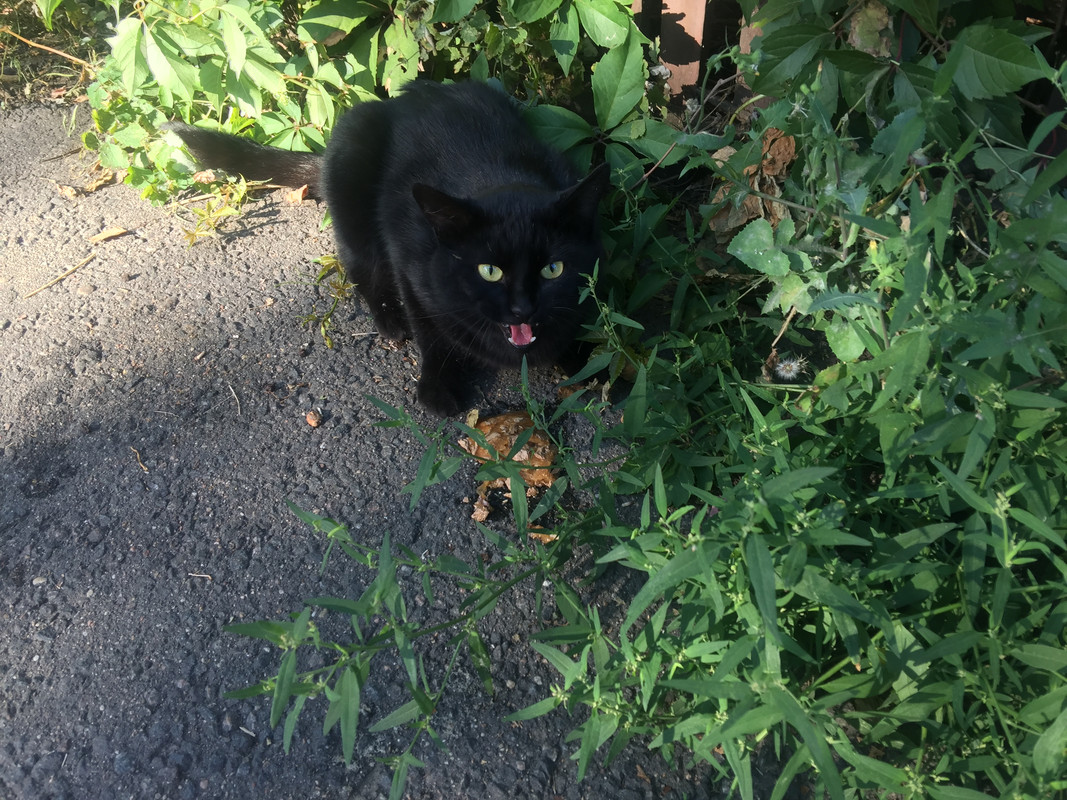 7B8AA307-F7FF-41A7-8DBB-54817883C331