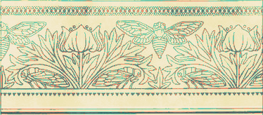 flower and insect header