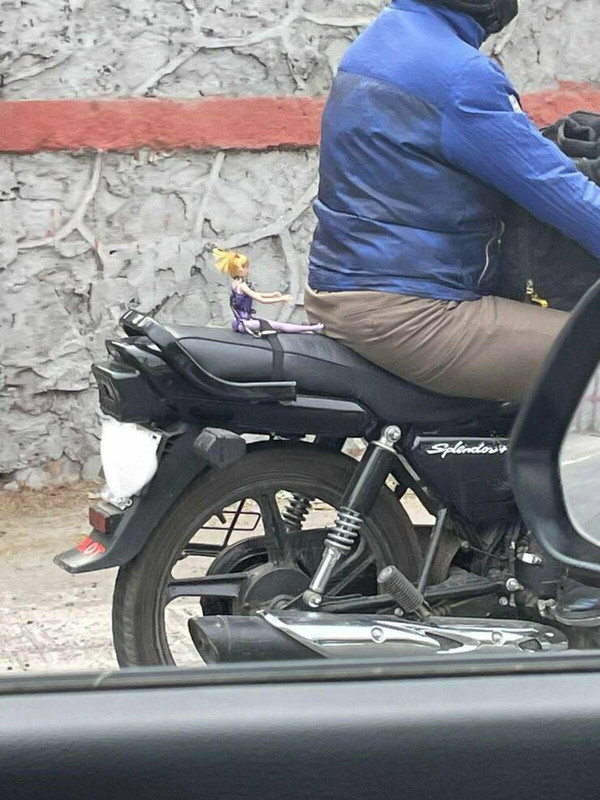daily-picdump-41-9.jpg