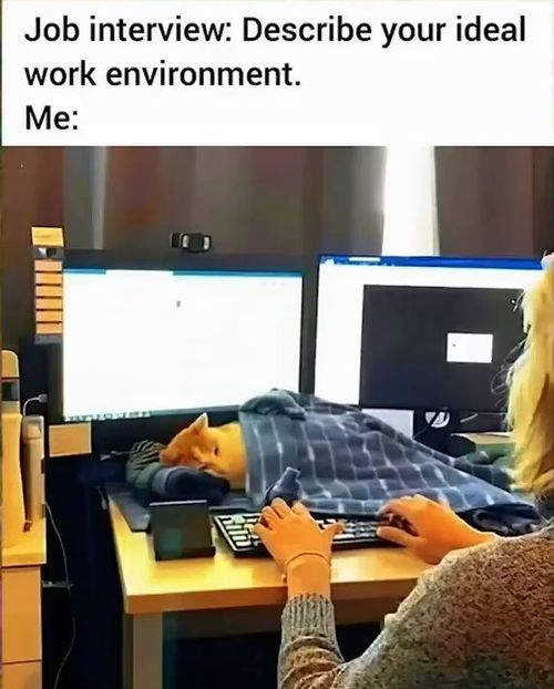 thumbs-picdump847-017.jpg