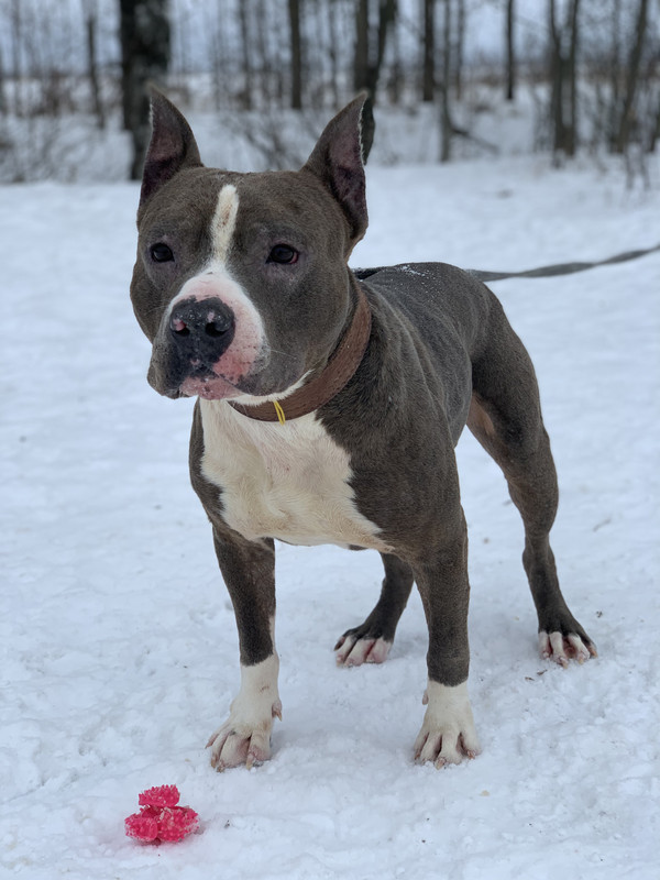 E4C0F834-4D88-421C-AC51-F86D785979E6