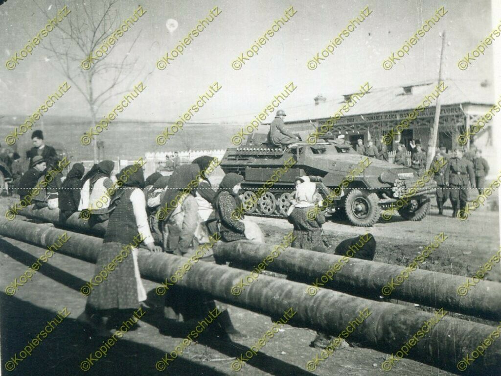 Foto, Panzer-Regiment 36, Sdkfz an der Grenze Rumänien - Bulgari