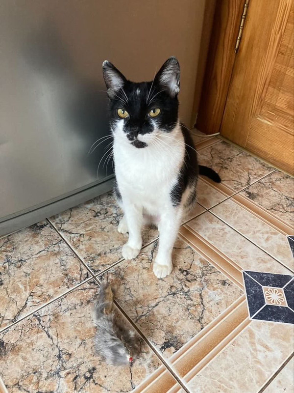 07F7734F-D63E-46CD-B680-8A729D04B4D3