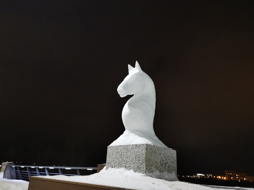 IMG_20230217_конь ночью