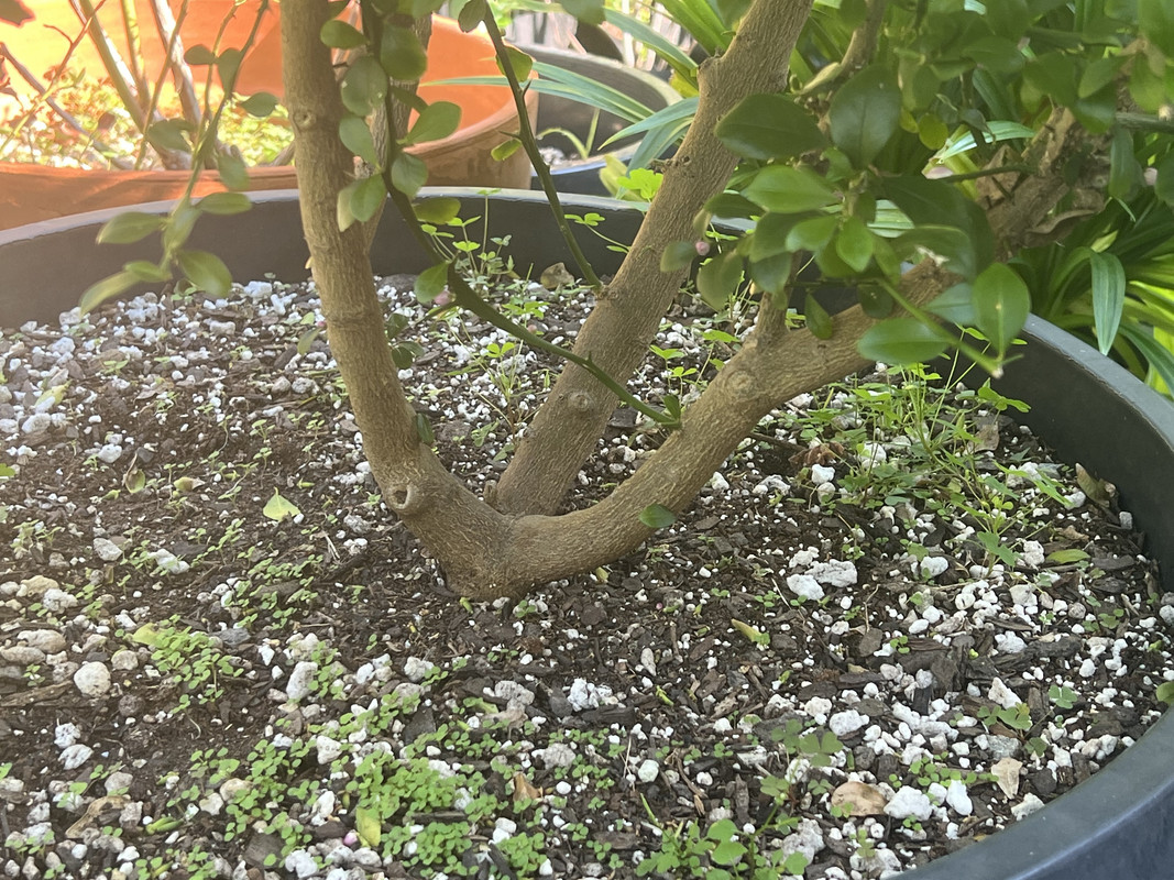 42A96A4E-A257-42AC-BE38-62FBAED20632