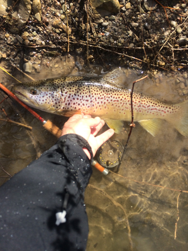 BBB2C5E1-71B0-43A4-B5C6-5153C6658223