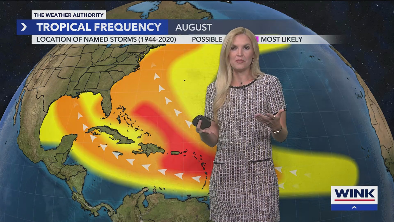 WINK News at 11_20250803_04000500.ts_snapshot_00.47.20.020