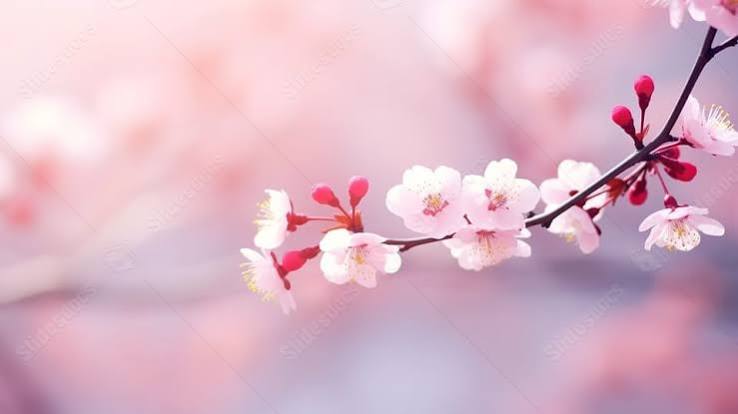 images (2)
