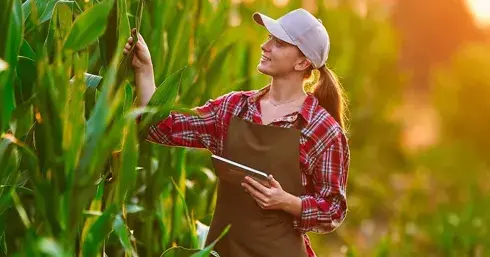 Gestão do Agronegócio