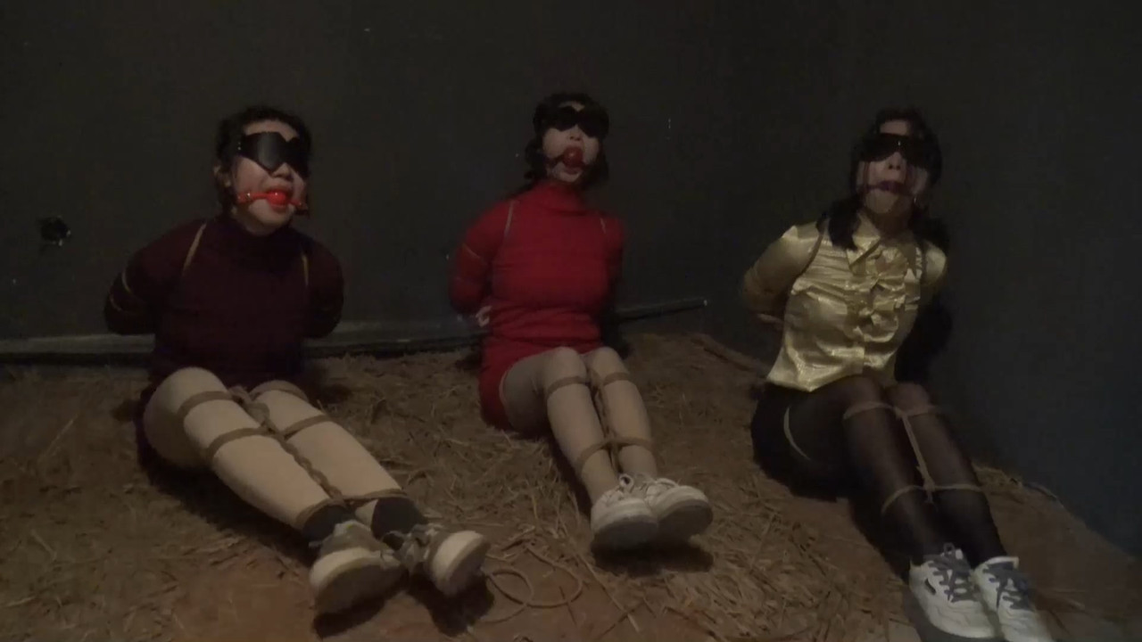 胜景影视 落难姐妹第十七集 下.mp4_20220301_130907.520