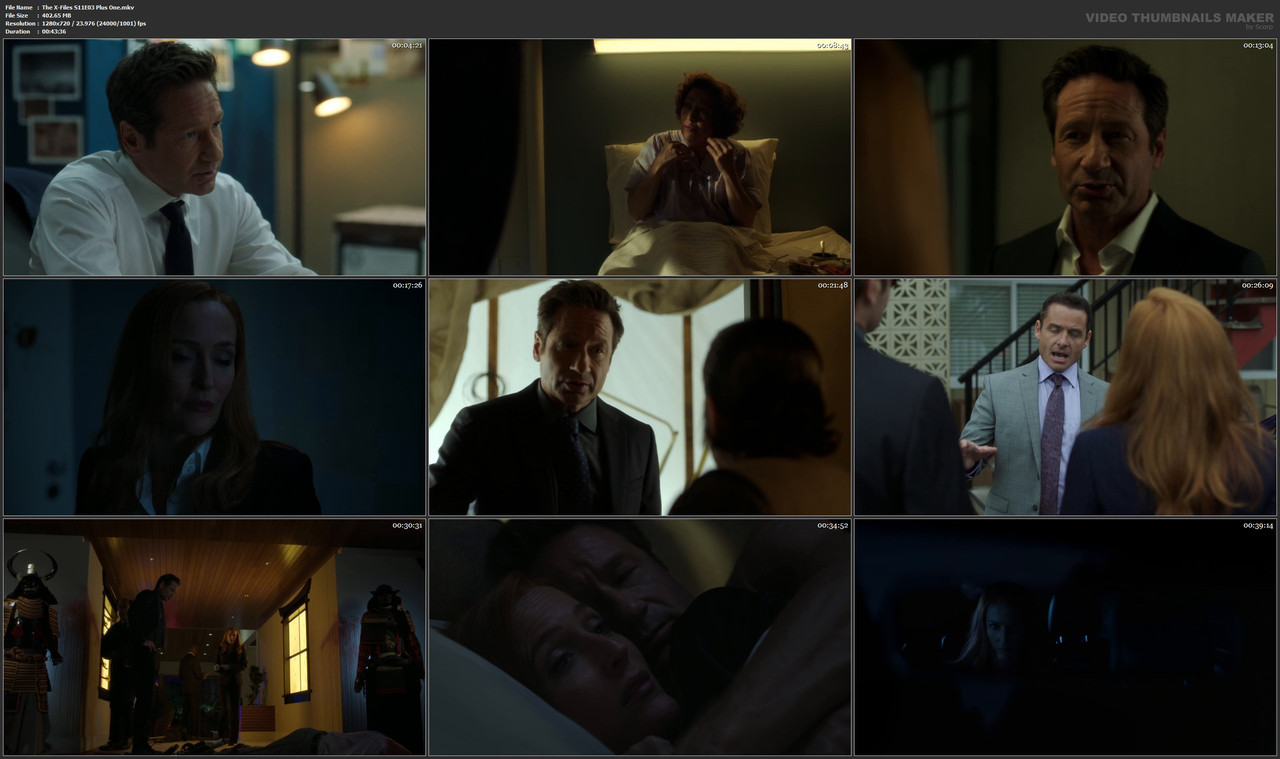 The X-Files S11E03 Plus One.mkv