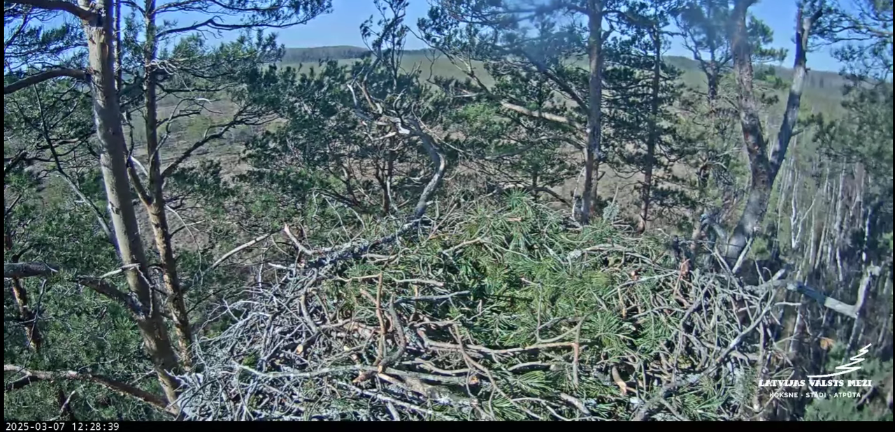 Ekrānuzņēmums 2025-03-08 105032