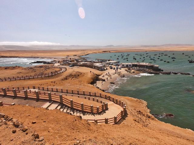 Día 5. Paracas Isla Ballestas, reserva y Oasis Huacachina - 3 SEMANAS EN PERÚ del Amazonas a Machu Picchu 2019 (8)