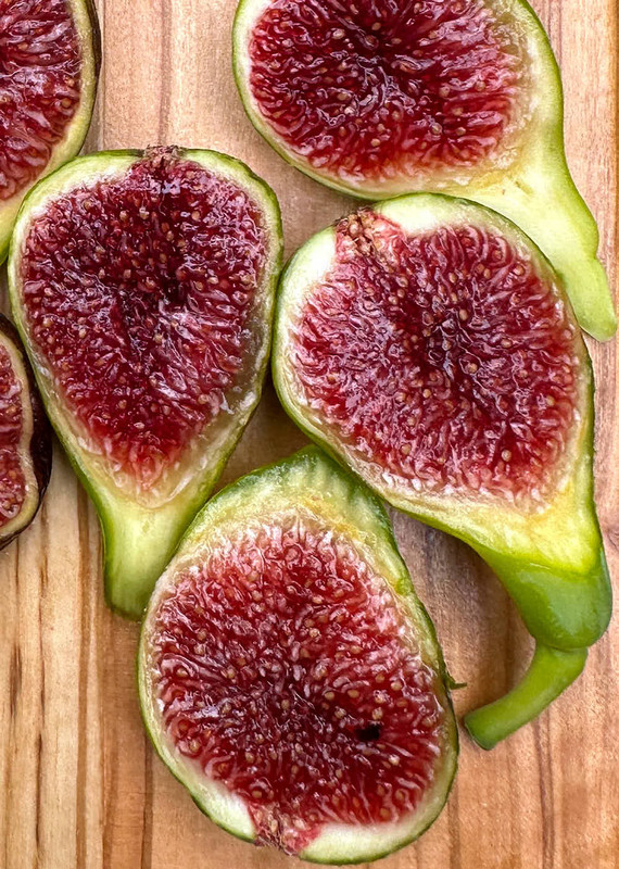 figs-32.jpg