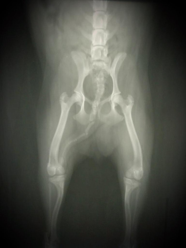 0300D69B-1A1A-4BCE-B9ED-E77F1E35B92F