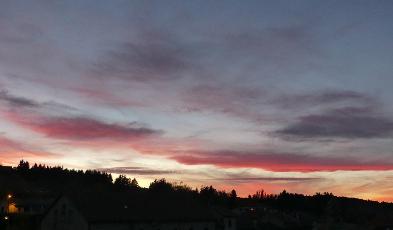 P1090319.jpg