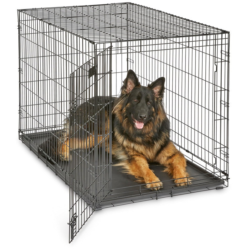 MidWest Homes for Pets 48-Inch iCrate Extra-Large Single Door