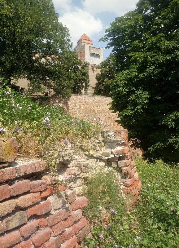 Slika
