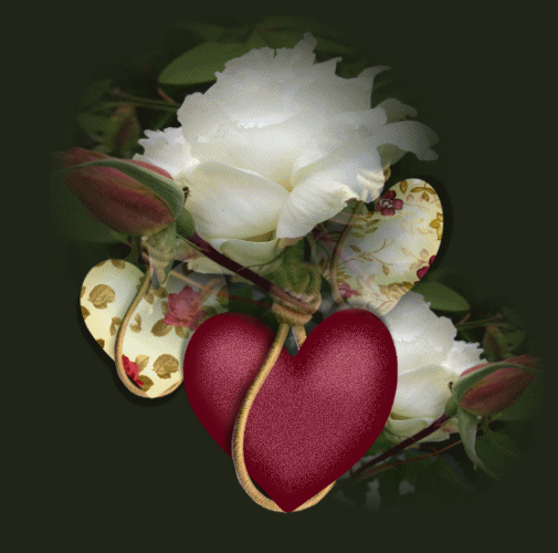 ���� ���� ������ �� ���� ������