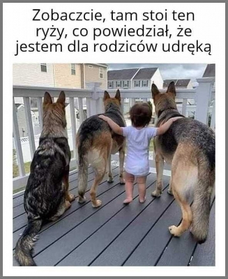 mem.jpg
