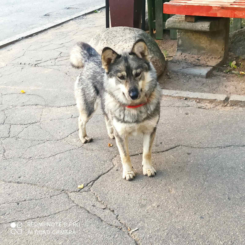 изображение_viber_2021-09-29_10-33-31-432