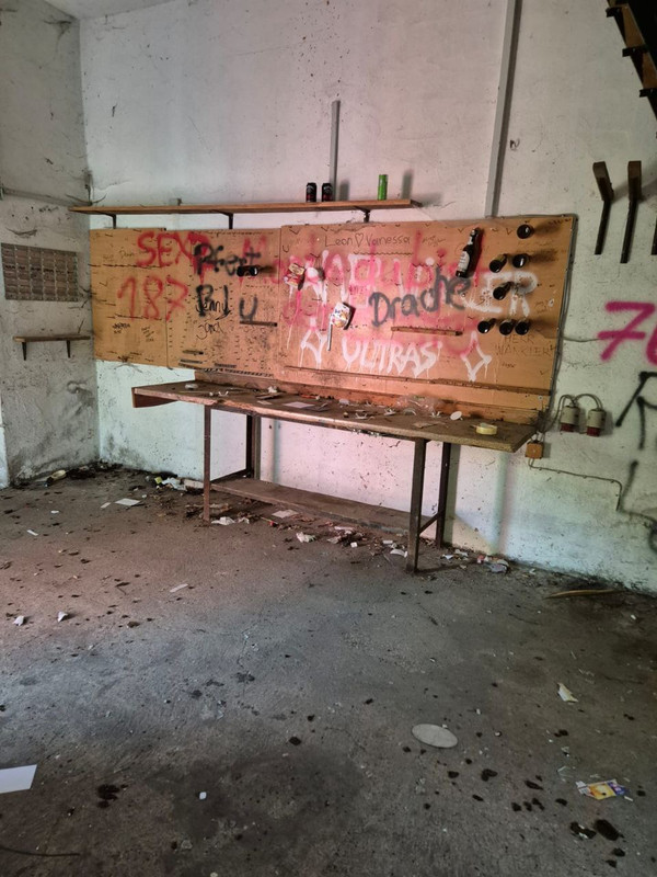 photo_5355242108765725193_y