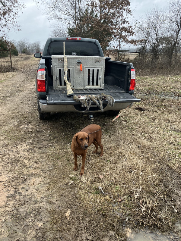 A976A7E5-3D3A-4381-AFBE-A9E2A13F663B