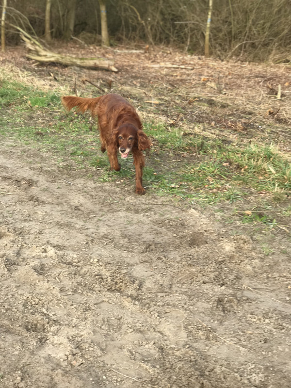 BB8E3F8E CFF2 4B0A 95AC 792EEC33839B