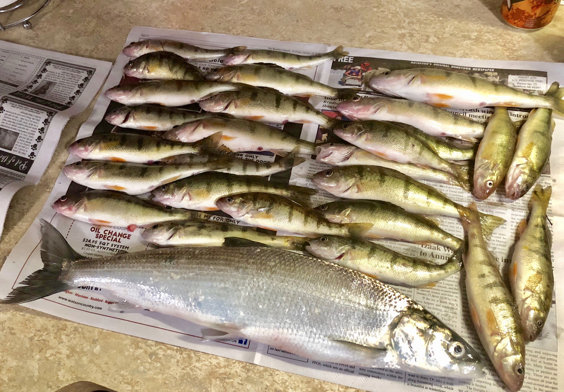 F6D4971E-E52A-4997-8B64-BBF109370FEE