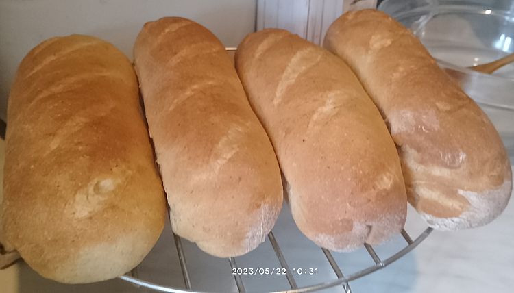 https://i.postimg.cc/JzCqFyxk/bagettek-2023-05-22.jpg