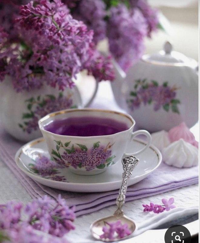 Screenshot_20230717_233508_Pinterest