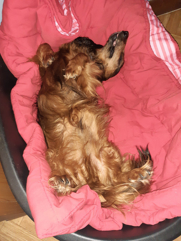 [Image: 20210604-210258.jpg]