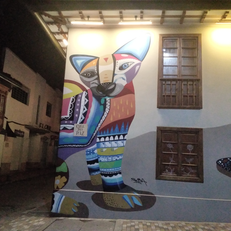 Зимовка 2026, полтора месяца в Колумбии.