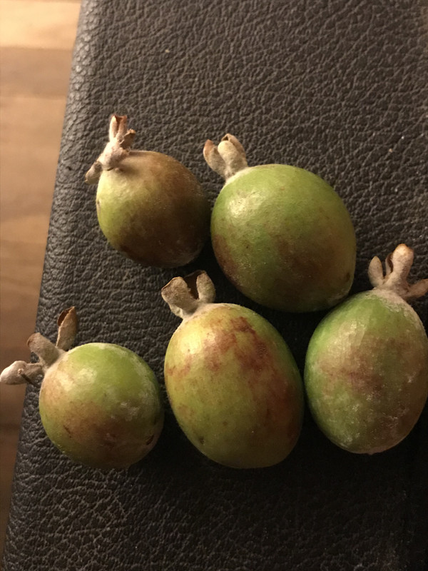 8F1A906A-3A42-4513-997D-BF26AF28ADC3