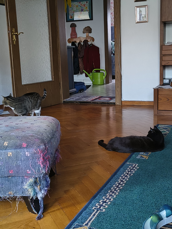 IMG 20260930 184554414 HDR