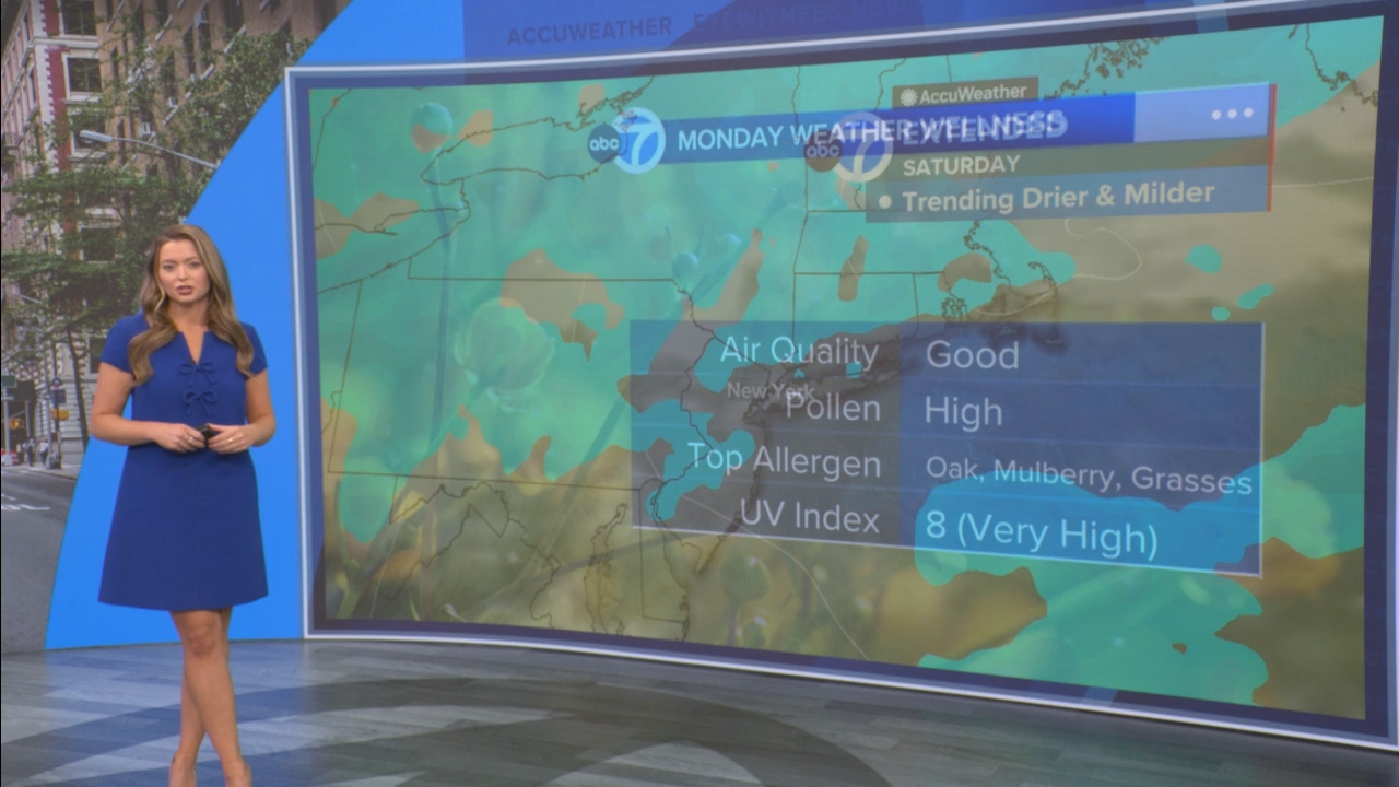 Eyewitness News Mornings at 10_20250519_15001600.ts_snapshot_00.55.09.304