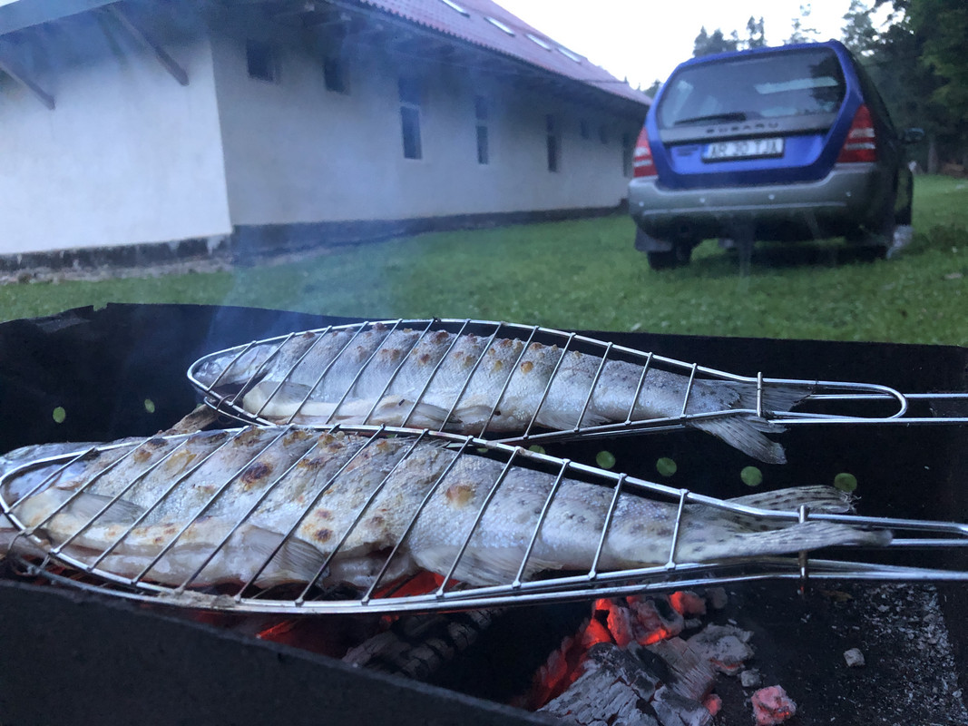 D8C4ADC7-722F-4494-B0B3-9D86CD7A5B7C