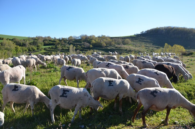 BRETUN-25-5-2013 - Soria y sus pueblos-2010/2013/2020 (51)