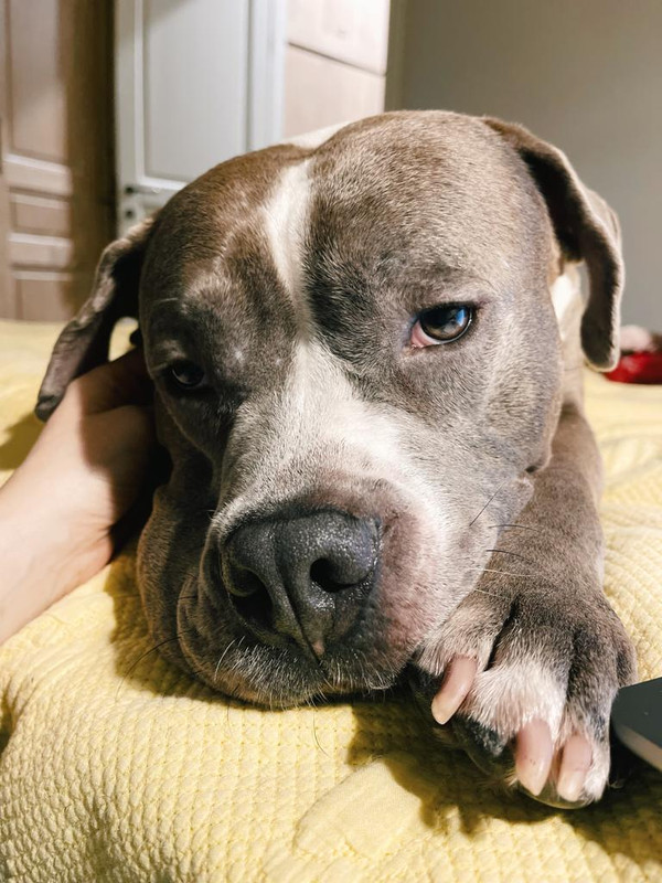 B7709D18-BF59-40BF-8740-A1C59C0FB8EB