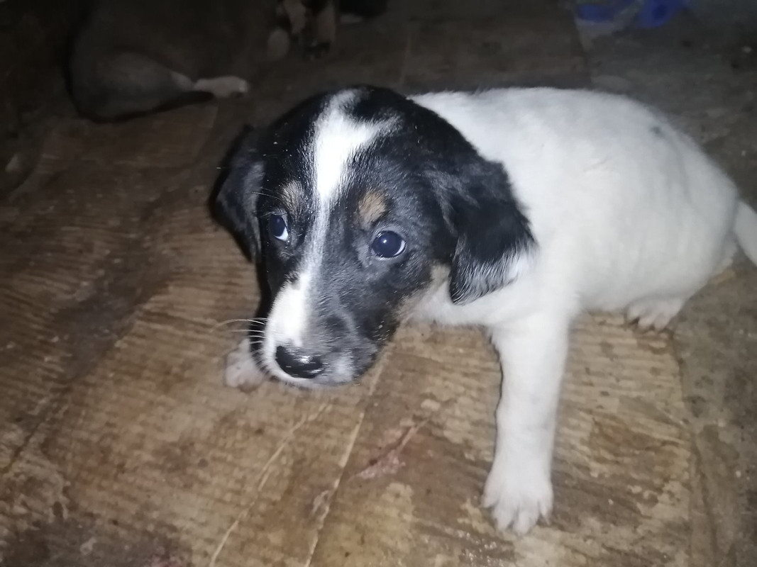 3A3B4813-400C-4A95-861E-2CCDCFE121E4