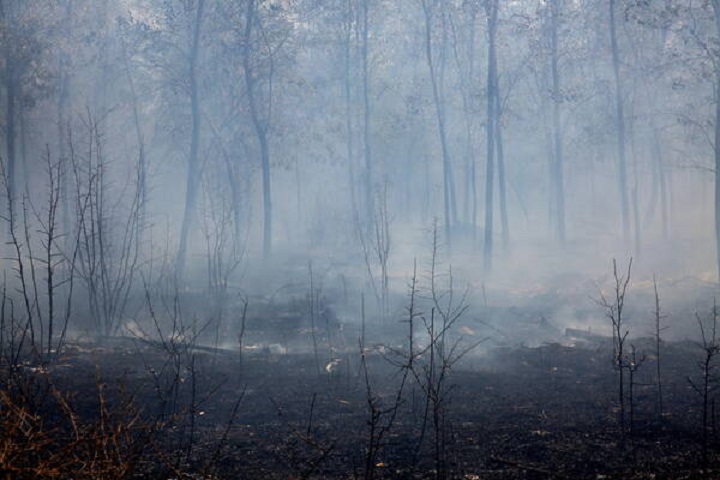 fotoincendios1