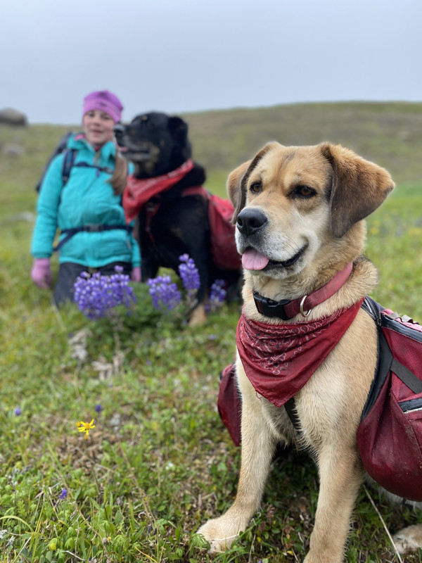 53C54330-86A6-41A5-84A2-2A07E39E8962