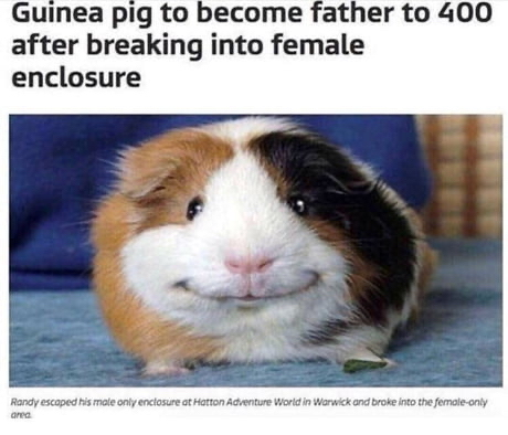 1664499846992401.jpg