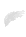 right wing